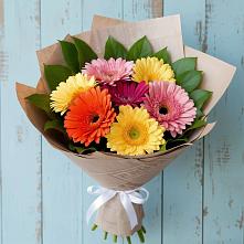 Букет цветов из:  Герберы в Уютном