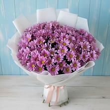 Букет цветов из:  Хризантемы в Уютном