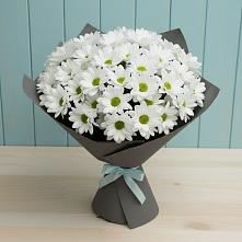 Букет цветов из:  Хризантемы в Уютном