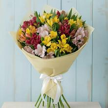 Букет цветов из:  Альстромерии в Уютном