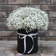 Цветочная композиция из Гипсофила в шляпной коробке #REPLACE_PRED# Уютном