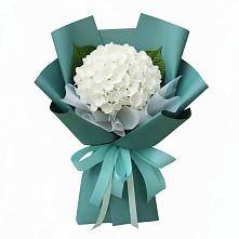 Букет цветов из:  Гортензия в Уютном